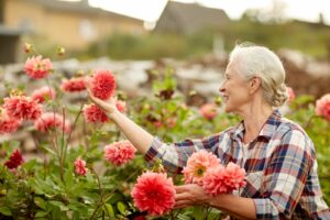 Elder Care Jonesville FL - Celebrate National Honey Bee Day on Aug 19